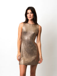 Bronze Sandy Dress
