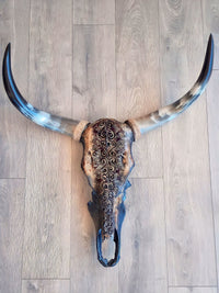 Nia Nguni Skull
