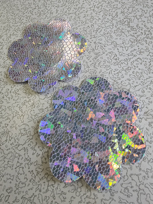 Holographic Flower Pasties