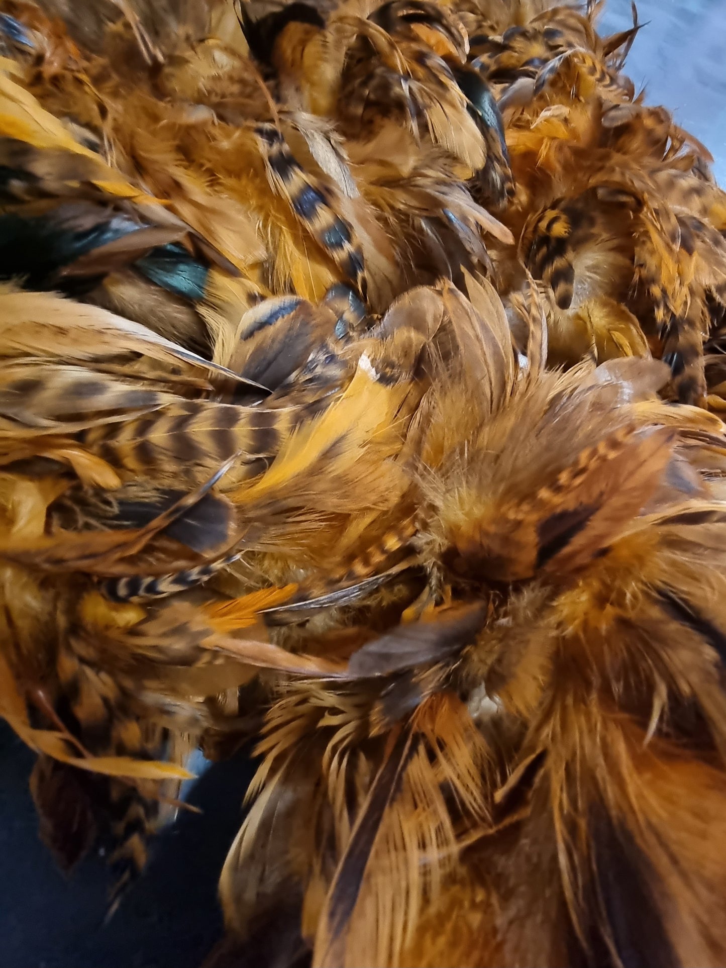 Orange Feather Boa