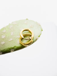 Gold Stainless Steel Hoop Earrings