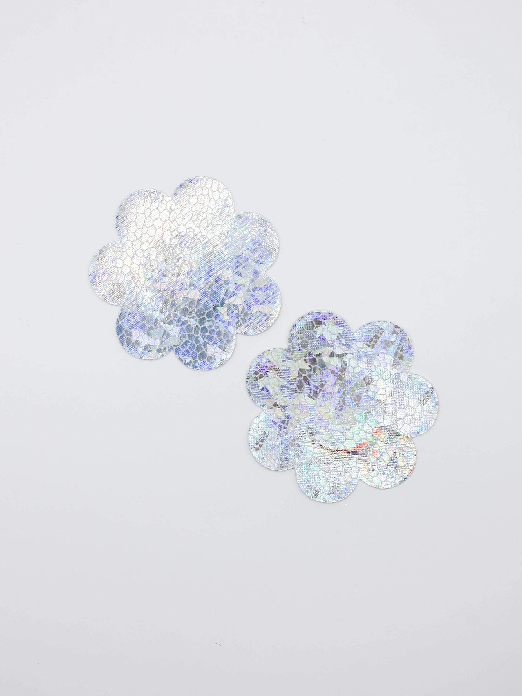 Holographic Flower Pasties