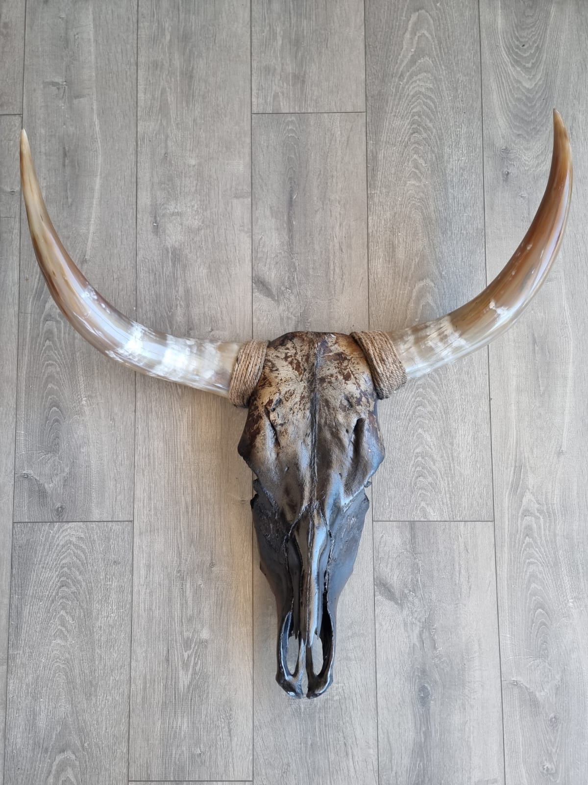 Nala Nguni Skull