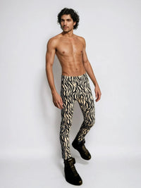 Zebra Leggings